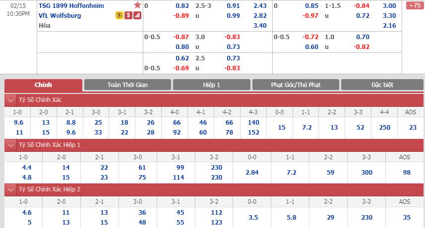 hoffenheim-vs-wolfsburg-21h30-ngay-15-02-1